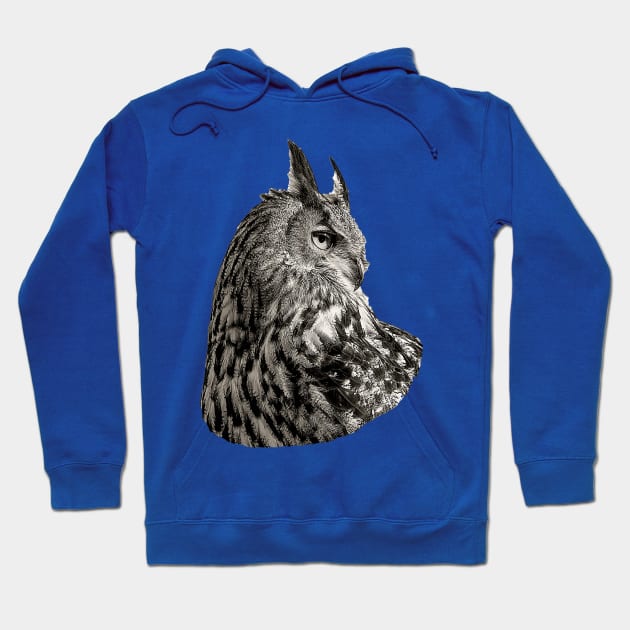 Eurasian Eagle Owl Hoodie by dalyndigaital2@gmail.com